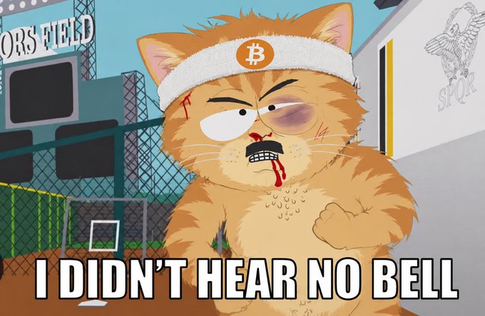 A beaten-up orange cat wearing a Bitcoin (₿) headband stands triumphantly in a fighting ring with the caption "I DIDN'T HEAR NO BELL," referencing Bitcoin's resilience and refusing to stop its rally despite traders selling or expecting a downturn.