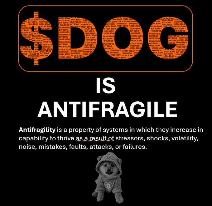 A graphic stating '$1000 IS ANTIFRAGILE,' defining antifragility as systems that thrive from stressors and shocks, accompanied by a small dog wearing a Bitcoin hoodie.