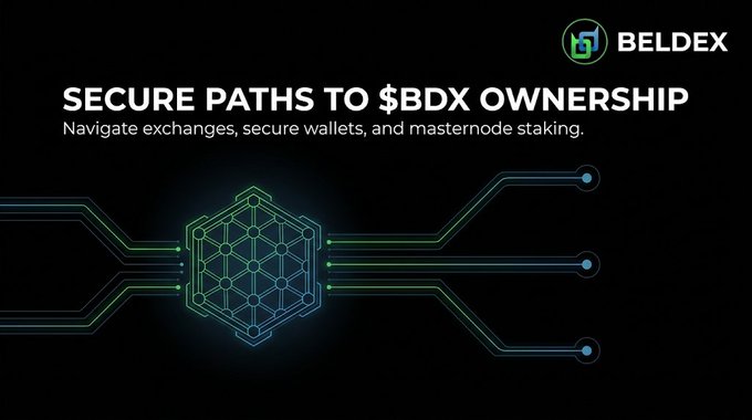 A promotional banner for 'BELDEX' reading 'SECURE PATHS TO $BDX OWNERSHIP' with the tagline 'Navigate exchanges, secure wallets, and masternode staking,' featuring a neon geometric cube design on a black background.