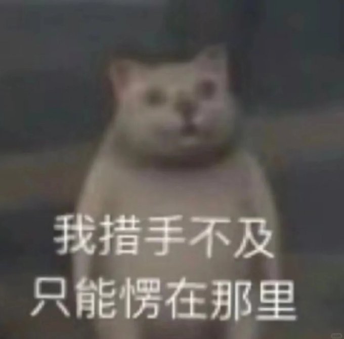 A blurry cat meme with Chinese text reading "我措手不及 只能愣在那里".