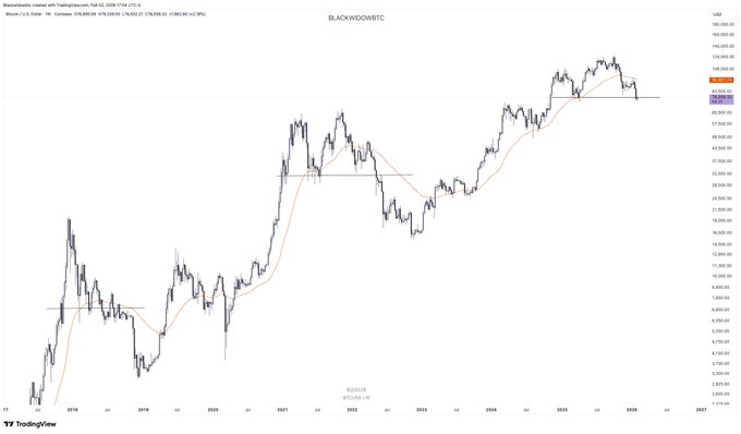 A long-term candlestick chart from TradingView tracking 'BLACKWOODBTC', showing price action from 2018 to 2027 with a 50 SMA indicator.