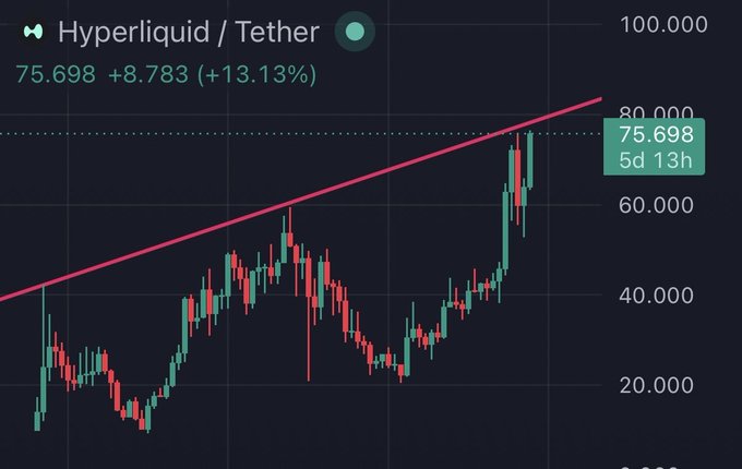 The image shows a line graph of the price of cryptocurrencies over time, specifically Hyper Liquid and Tether (ETH). The graph displays a downward trend, which may be concerning for investors or cryptocurrency enthusiasts who want to invest in these digital assets. However, there are positive aspects highlighted within the post, suggesting that the charts have been manually manipulated to focus on the prices of Hyper Liquid and Tether (ETH) while overlooking other cryptocurrencies. This manipulation can provide more insight into the performance of these two assets compared to others. It is important for viewers to be aware of such manipulations when analyzing market trends or making investment decisions in the cryptocurrency world.