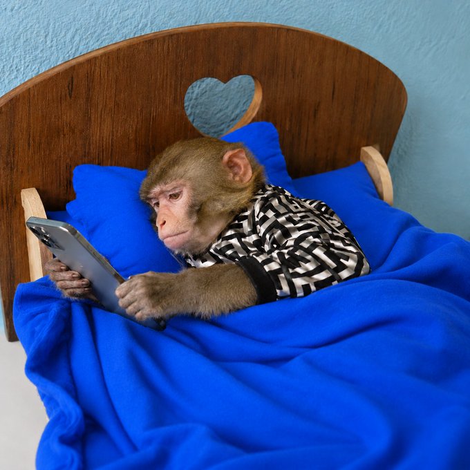 The image features a monkey lying down in bed with a blue blanket and a pillow. The monkey appears to be using a cell phone while resting comfortably in its bed. The caption of the image includes a reference to Bitcoin, which might be related to the monkey's situation or could simply be an unrelated piece of information.