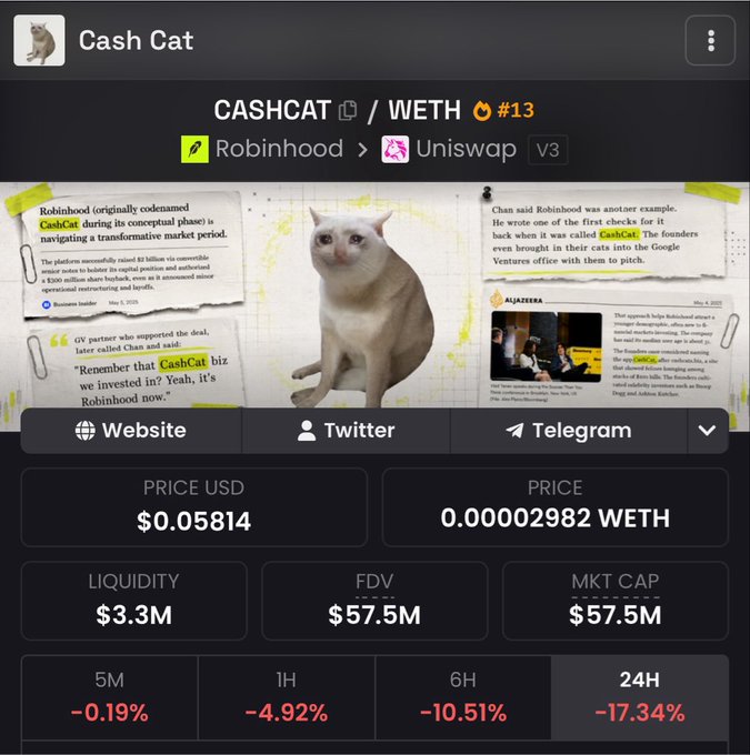 A token info page for "Cash Cat" (CASHCAT/WETH #13) showing $0.05814 price, $3.3M liquidity, $57.5M FDV/Market Cap, and 24H change of -17.34%, with news clippings about the token's name change from Robinhood.