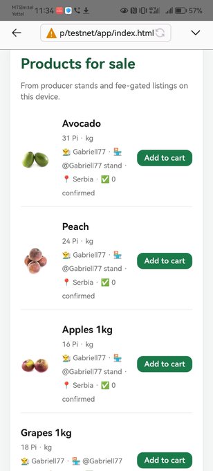 A mobile screenshot shows a 'Products for sale' page on p/testnet/app/index.html listing Avocados, Peaches, Apples, and Grapes by @Gabriell77 with 'Add to cart' buttons.