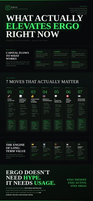 The image features a poster with a green background, black text, and white bullet points. The poster contains information about Ergo and its purpose, stating that it doesn't need hype but requires usage for growth. It emphasizes the importance of utility, demand creation, and education in the cryptocurrency world.