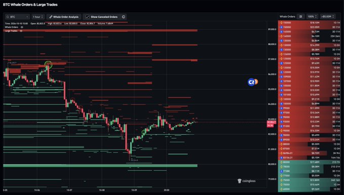 A BTC whale orders chart from CoinGlass displays the 1-hour Bitcoin price action hovering around $84,603, with red sell walls stacked between $84,650 and $86,800 and the largest notable buy order at $83,520, supporting the post's claim that there are no major sell-side resistance levels until approximately $87,500.