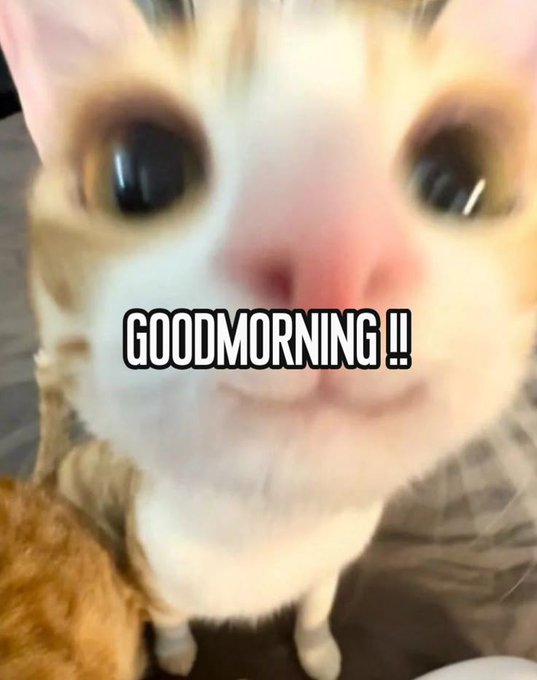 A close-up photo of a small orange and white kitten with large eyes looking at the camera, with the text 'GOODMORNING !!' overlaid.
