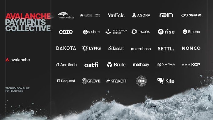 An announcement graphic for the 'AVALANCHE PAYMENTS COLLECTIVE' with the tagline 'TECHNOLOGY BUILT FOR BUSINESS', displaying a grid of partner logos including WisdomTree, Coinbase, Stripe, Chainlink, and Kraken, set against a snowy avalanche background.