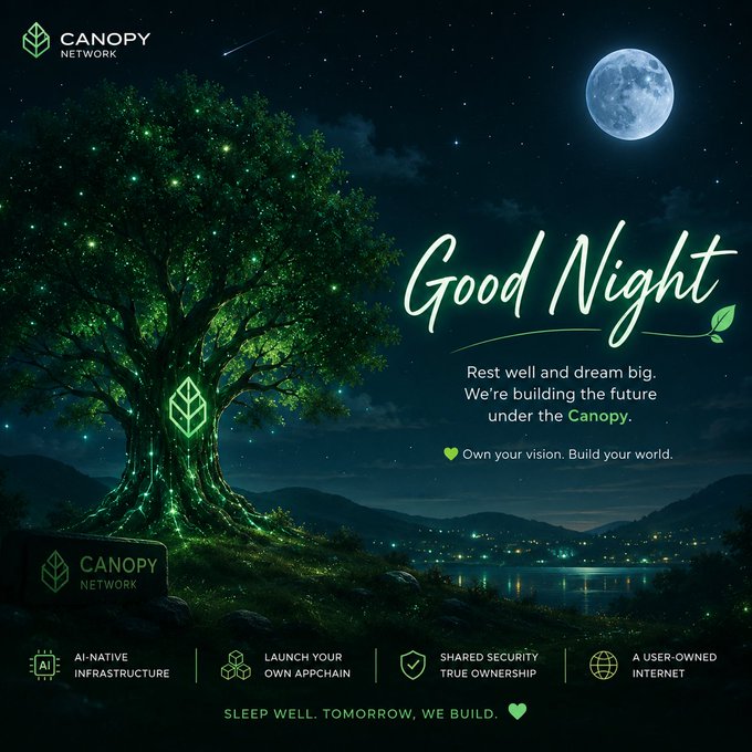 The image features a tree with glowing green leaves, set against a dark night sky. The text "Good Night" is written above the tree, and there are descriptions of the company Canopy Network's Web3 project. The focus on launching a Web3 project that is easier for teams to launch suggests that the company is trying to simplify the process of creating decentralized applications or projects using blockchain technology. This can help streamline the development process and make it more accessible to a wider range of users, ultimately leading to better user experiences and more efficient solutions in various industries.