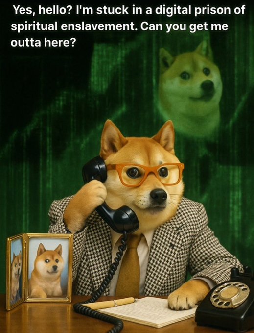 iced tea with a slice of lemon and a straw, accompanied by a black phone on a desk, with two framed photos of dogs in the background.