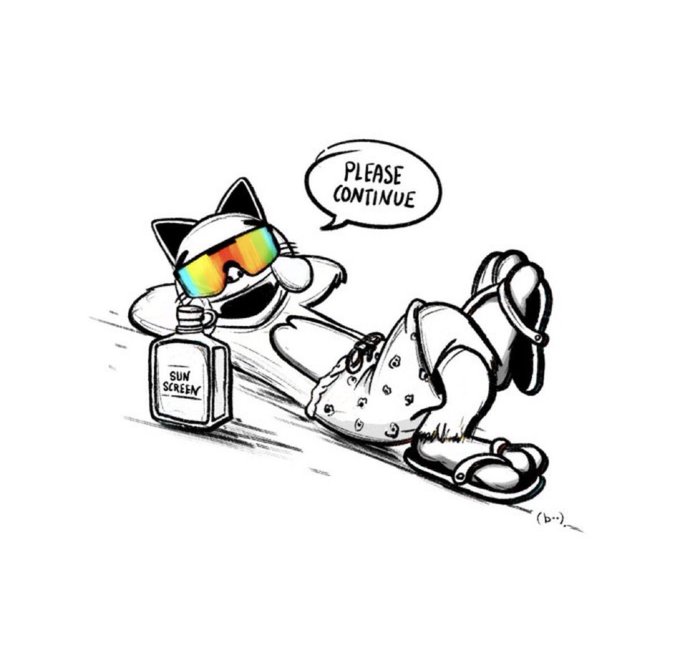 The image features a cartoon cat wearing sunglasses, lying down with its legs crossed, and holding a bottle of sunscreen. The caption below the image reads "Please continue", which could be interpreted as an instruction or reminder for the viewer to keep going.