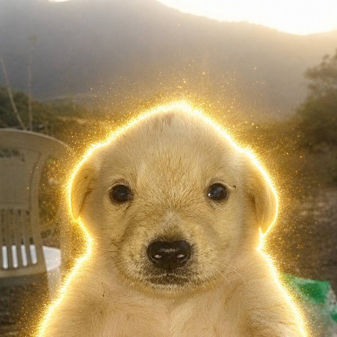 A close-up portrait of an adorable golden retriever puppy with a glowing golden halo effect radiating around its head, set against a misty mountain backdrop.