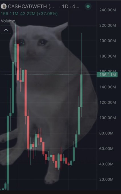 A candlestick chart for the CASHCAT/WETH trading pair on what appears to be a 1-day timeframe, showing a recent price of 156.11M (up +37.08%) with a backdrop featuring the Cashcat cat meme image. The chart relates to the post by highlighting CASHCAT's price action amid speculation that Robinhood may be listing the token, with a humorous nod to WOJAK potentially being next.