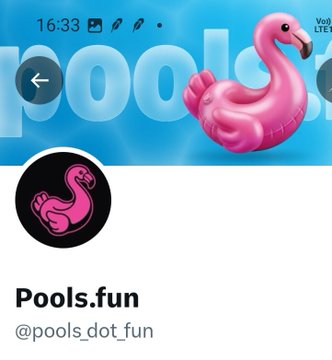 A mobile app profile page for 'Pools.fun' (@pools_dot_fun) with a pink inflatable flamingo pool float displayed prominently against a blue pool-themed banner.