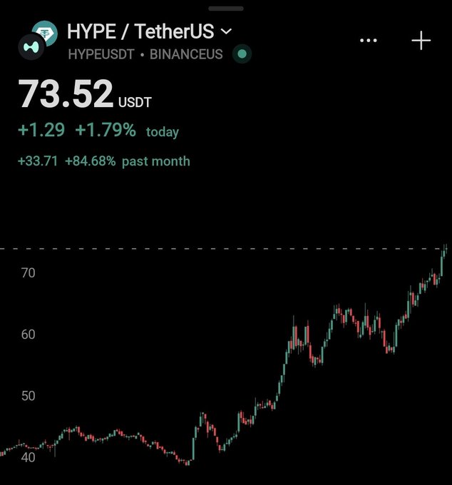 The image shows a stock chart with a green line indicating the price of Bitcoin, which is currently at $73,52. The chart also displays the price of Ether (ETH), which is at $37.42. The text on the screen reads "HYPE is dominating the market." This suggests that the cryptocurrency market has been dominated by Hype, and its value has increased significantly over time.