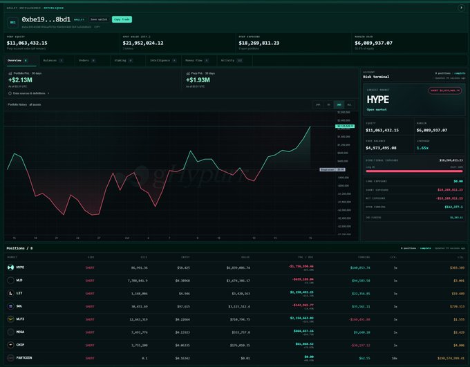 GMGN analytics dashboard showing a wallet (0xbe19...8bd1) with Total Assets of $11,063,432.15, featuring a profit chart and position tracker for meme coins including HYPE, HLD, LIT, SOL, WIF, PUMP, DEEP, and fartcoin.