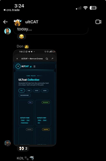 Mobile screenshot of a chat with 'ultCAT' on cro.trade, showing a screenshot of 'ULTCAT - Born on Cronos' and 'ULTcat Collection' featuring traits like Back, Accessories, Common, and Legendary.
