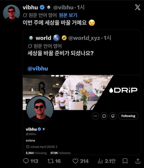 X (Twitter) screenshot showing vibhu (@vibhu) commenting in Korean on a post by world (@world_xyz) about Korean language support for World app, tagged @vibhu, with engagement metrics (113 replies, 16 reposts, 314 likes, 2.1K views).