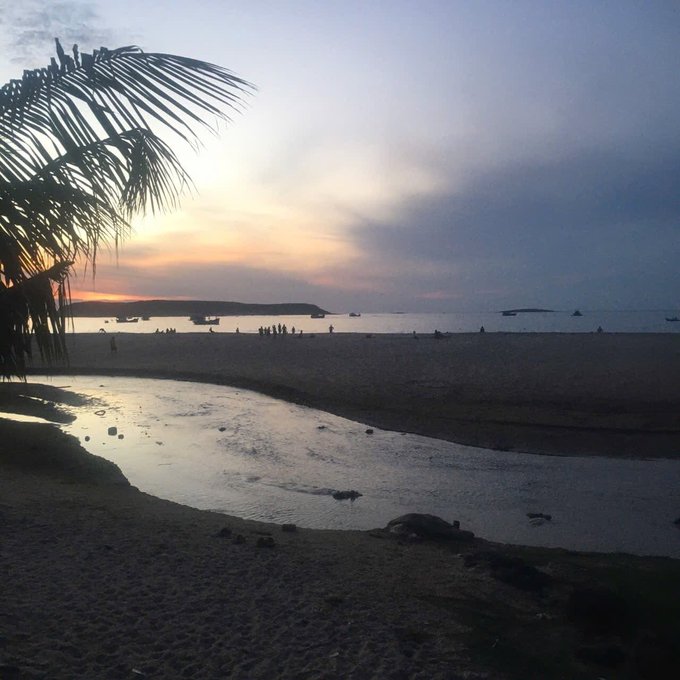 A serene beach at sunset with palm fronds silhouetted in the foreground, boats on the water, and people gathered along the shore.