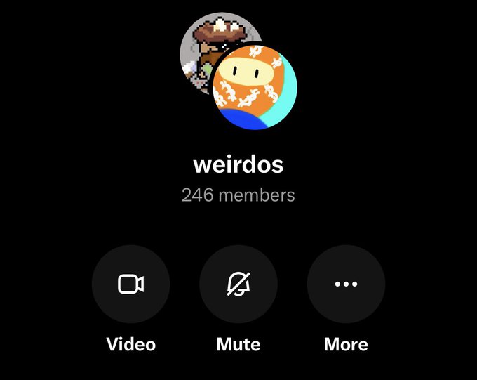 A screenshot of a video call interface for a group named "weirdos" with 246 members, featuring pixel art profile pictures of two characters.