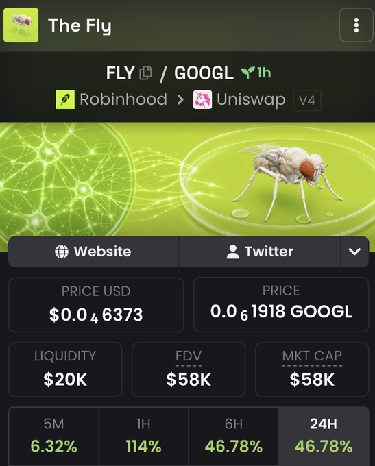The image shows a token tracker page for "The Fly" (FLY), priced at $0.04637 with a market cap of $58K and liquidity of $20K, showing significant gains of 114% in 1 hour and 46.78% over 24 hours. The post celebrates FLY as an underappreciated coin featuring AI/AGI technology built from a Google-published source code about an adult male fly, which autonomously controls the token through continuous buybacks and burns.