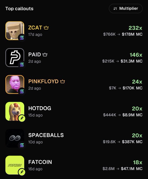 A screenshot of a 'Top callouts' list showing meme coins with their multipliers, including ZCAT (232x), PAID (146x), PINKFLOYD (24x), HOTDOG (20x), SPACEBALLS (20x), and FATCOIN (18x), along with their market cap changes.
