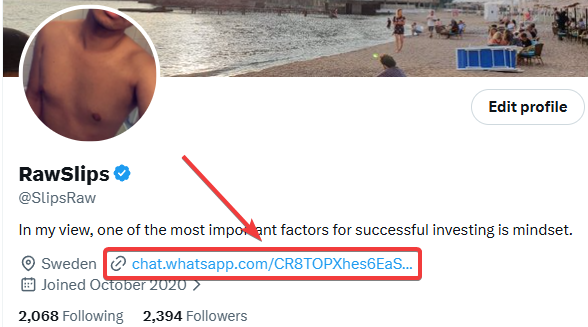 A Twitter/X profile for 'RawSlips' (@SlipsRaw) showing a shirtless man's chest as the avatar, with a bio mentioning investing mindset and a WhatsApp link 'chat.whatsapp.com/CR8TOPXhes6EaS...' highlighted with a red arrow.