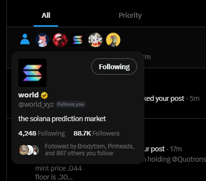 A screenshot of a social media profile page showing an account named 'world' with handle @world_xyz, displaying 'Following' status, 4,248 Following, and 88.7K Followers, with bio text 'the solana prediction market'.