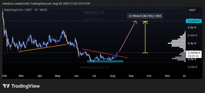 A TradingView daily chart for BABYDogeCoin (BABYDOGE/USDT) on MEXC illustrates the cryptocurrency breaking out of a multi-month downtrend, with annotations showing a potential price target of $0.1994e-9 (a 58.78% rally) if it holds above the key support level at $0.3404e-9, aligning with the post's bullish outlook toward $0.54e-9.