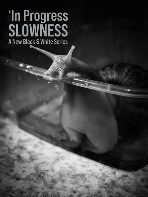 A black and white close-up photograph of a snail clinging to the side of a clear plastic container, overlaid with the text 'In Progress SLOWNESS - A New Black & White Series'.