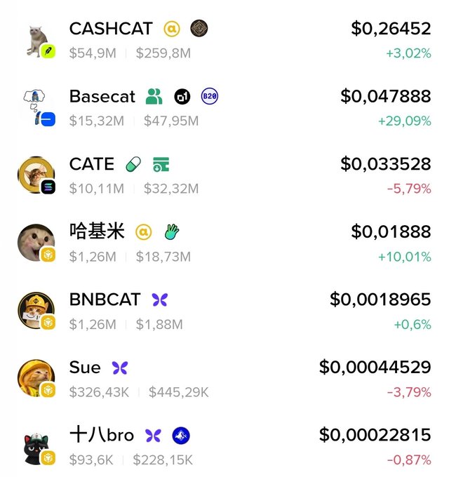 Cryptocurrency price list featuring cat-themed meme coins: CASHCAT ($0.26452), Basecat ($0.047888), CATE ($0.033528), 哈基米 (Hakimi, $0.01888), BNBCAT, Sue, and 十八bro, with their 24h percentage changes.