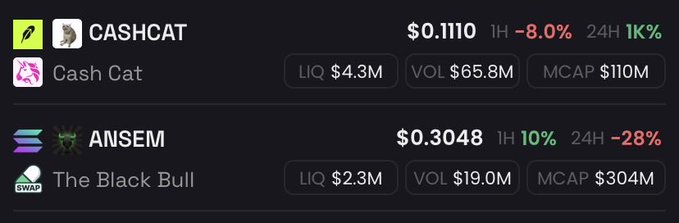A cryptocurrency price tracker showing CASHCAT ($0.1110, down 8.0% in 1H, market cap $110M) and ANSEM/The Black Bull ($0.3048, up 10% in 1H, market cap $304M).