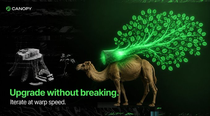 A Canopy advertisement featuring a camel with a glowing green digital tree growing from its back, with the tagline 'Upgrade without breaking. Iterate at warp speed.'