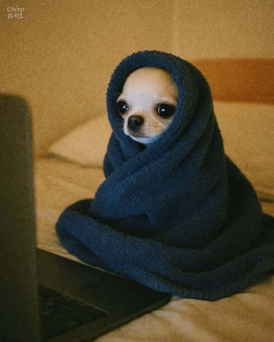 An artistic painting depicts a small chihuahua wrapped in a blue towel sitting on a couch beside a laptop.