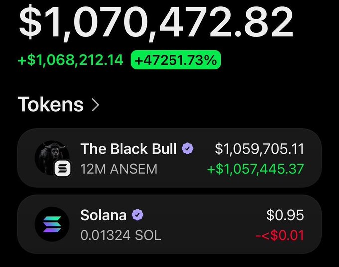 The image shows a crypto wallet portfolio displaying $1,070,472.82 total value, primarily from "The Black Bull" (12M $ANSEM) which gained +$1,057,445.37, along with a small Solana balance of 0.01324 SOL. The screenshot serves as visual proof of the claim that blknoiz06 airdropped a large $ANSEM sum to the poster, supporting their post about receiving $1M in $ANSEM tokens.