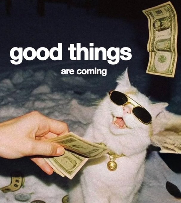A white cat wearing gold-rimmed sunglasses and a gold chain appears to laugh as a hand offers it money, with the text 'good things are coming' overlaid.