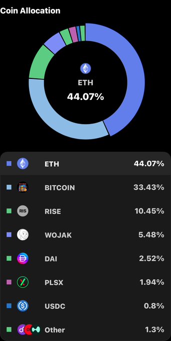 A dark-themed cryptocurrency portfolio dashboard titled 'Coin Allocation' displays a donut chart showing ETH at 44.07%, along with holdings including Bitcoin (33.43%), RISE (10.45%), Wojak (5.48%), DAI (2.52%), PLSX (1.94%), USDC (0.8%), and Other (1.3%).