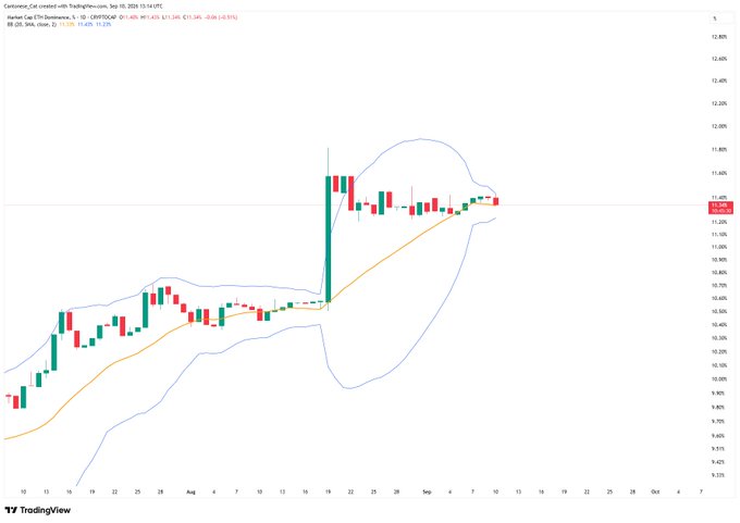 A TradingView daily chart for CryptoCap ETH.D (Ethereum Dominance) shows a Bollinger Band squeeze with the bands visibly contracting around recent price action near 11.55% on September 10, 2026, following a sharp rally from ~9.25% in mid-August. The orange moving average is rising into the squeeze zone, visually confirming the consolidation pattern noted in the post.