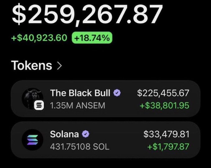 A crypto portfolio screenshot displays a total balance of $259,267.87 with an 18.74% gain, broken down into two holdings: "The Black Bull" (1.35M ANSEM) worth $225,455.67 (+$38,801.95) and Solana (431.75108 SOL) worth $33,479.81 (+$1,797.87), serving as a promotional example tied to an ANSEM/Solana giveaway post.