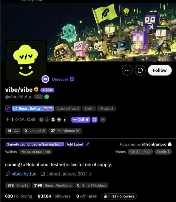 The image shows the Web3 profile page for "vibe/vibe" (@vibevibefun), displaying 7,256 followers, 837.8K followers on X, and a Follow button, with a banner featuring colorful voxel art characters and a green flag. The accompanying post highlights key details about the project, including its launchpad on Robinhood Chain, 5% testnet supply allocation, free 10k NFT mint, and a 200K $SPARK point system for "vibe viber" spots.
