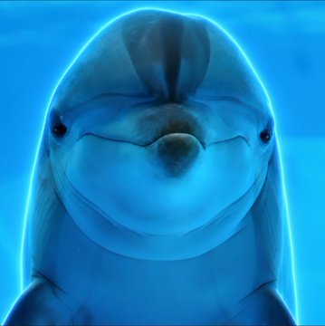 A dolphin smiles at the camera underwater, its sleek face illuminated by blue light. The image complements the post's theme of AI-assisted dolphin communication research tied to the $DI token.