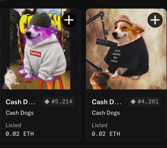 Two NFT listings for 'Cash Dogs' priced at 0.02 ETH, featuring meme-style images of dogs wearing streetwear; one dog wears a Supreme hoodie, and the other wears a shirt reading 'Fuck bitches Get money'.