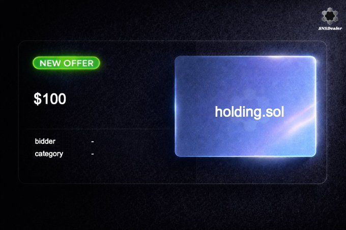 A promotional screen from SNSdealsr displays a 'NEW OFFER' for 'holding.sol' at $100, with no bidder or category listed.