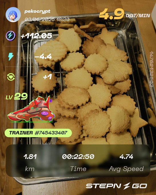 The image shows a tray of cookies sitting on top of a table, with a caption that reads "Stepn Go" above them. The cookies are arranged in rows, and there's a small amount of text below the cookies indicating they were made by Stepn Go.