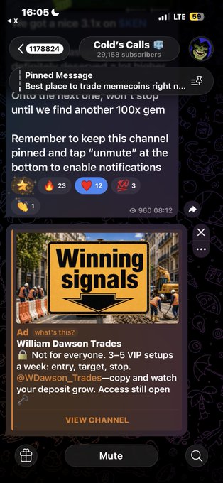 A Telegram channel screenshot for 'Cold's Calls' displaying a pinned message about trading memecoins and an advertisement for 'Winning signals' by William Dawson Trades.