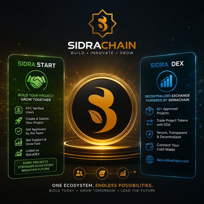 The image is a promotional graphic for SidraChain, featuring its golden logo and tagline "Build • Innovate • Grow," with two key ecosystem components highlighted: Sidra Start (for KYC-verified users to create and list projects on SidraDEX) and Sidra DEX (a decentralized exchange with 82+ approved projects at dex.sidrachain.com). It visually reinforces the post's message about SidraChain being a long-term ecosystem-driven project, emphasizing themes of growth, community collaboration, and "One Ecosystem, Endless Possibilities."