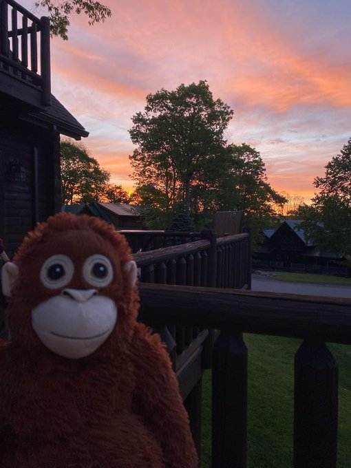 A brown stuffed monkey toy sits on a wooden deck railing at sunset, with trees and houses visible in the background under a sky streaked with pink and orange clouds.