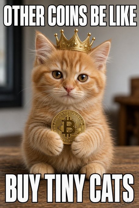 A regal orange kitten wearing a gold crown proudly holds a Bitcoin coin, with text reading "OTHER COINS BE LIKE" at the top and "BUY TINY CATS" at the bottom—humorously contrasting Bitcoin's value proposition against altcoins supposedly focused on frivolous cat purchases.