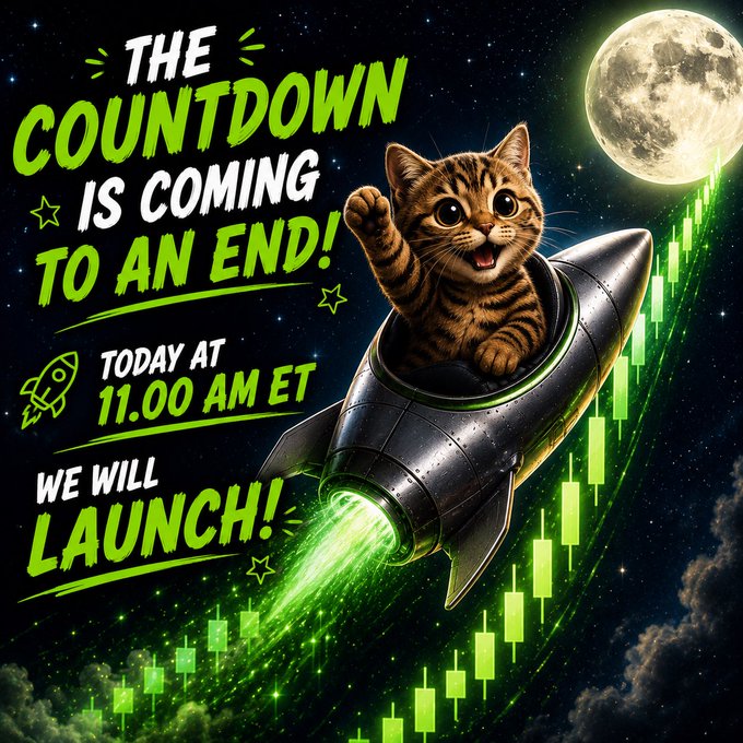 Space-themed promotional graphic with 'THE COUNTDOWN IS COMING TO AN END! TODAY AT 11.00 AM ET WE WILL LAUNCH!' featuring a cartoon tabby cat in a rocket ship alongside green candlestick charts and a moon.